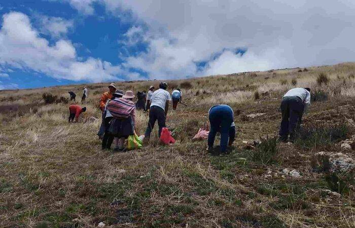 reforestation-community-action-climate-impact-reforest-trees(1)